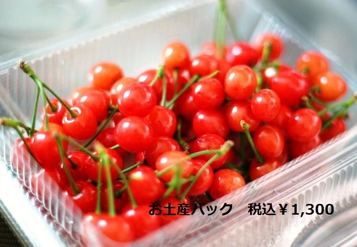 お土産1300