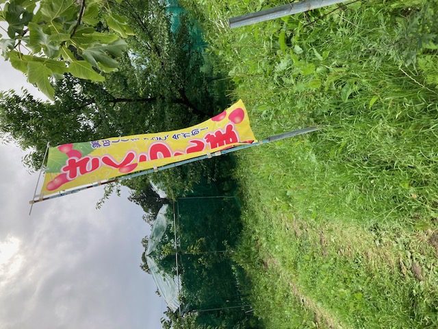 Img 1650