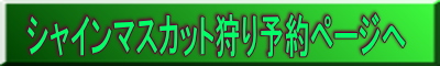 シャインシャイン